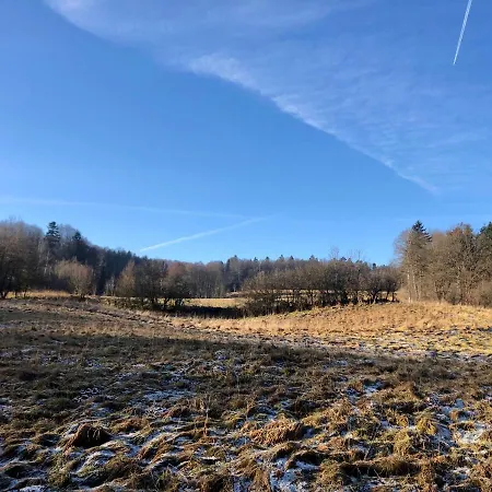 Dolina Zdrowia U Skrzypkow Affittacamere 3*