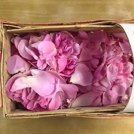 Dolina Zdrowia U Skrzypkow 3* Wlen