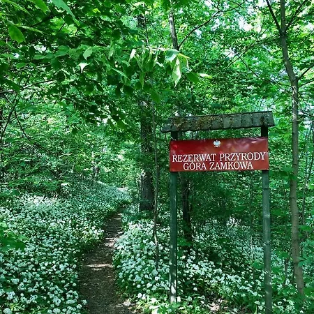 Dolina Zdrowia U Skrzypkow 3*