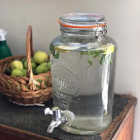 Dolina Zdrowia U Skrzypkow Wlen