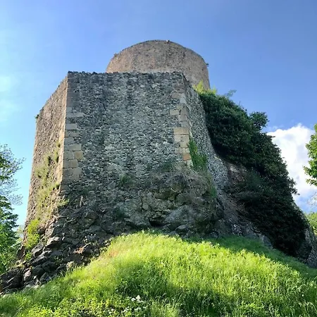 Dolina Zdrowia U Skrzypkow 招待所 3*