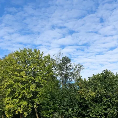 Dolina Zdrowia U Skrzypkow 招待所 Wlen