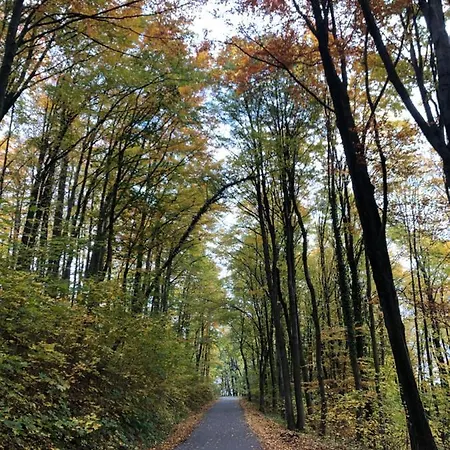 招待所 Dolina Zdrowia U Skrzypkow 3*